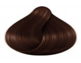 6.99 GIANDUJA CHOCOLATE 