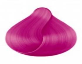 Fuchsia 