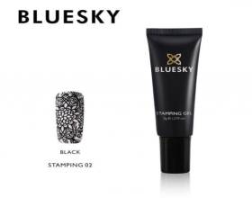 Bluesky Stamping 02