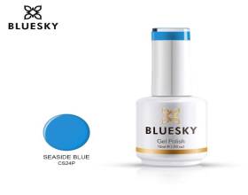 Bluesky CS24