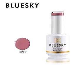 Bluesky MZA817