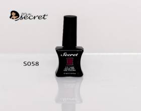 Secret Gel Polish S058