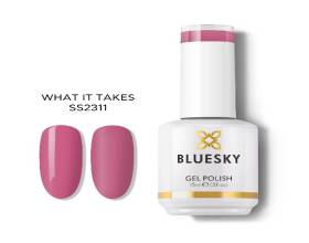 Bluesky What It Takes