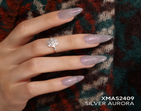 Bluesky XMAS2409