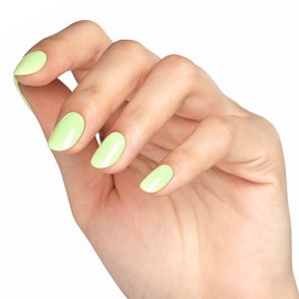mint-harmony-1