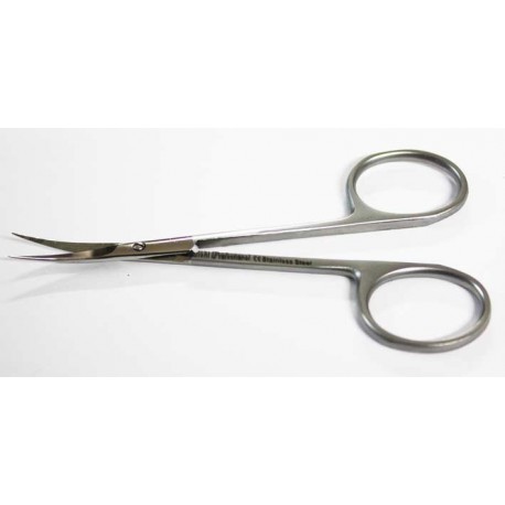 sp6.jpg
