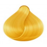 yellow6.jpg_1